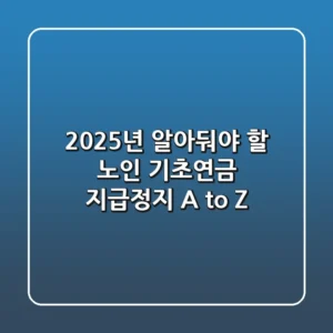 2025년 알아둬야 할 노인 기초연금 지급정지 A to Z