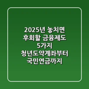 2025년 놓치면 후회할 금융제도 5가지 청년도약계좌부터 국민연금까지