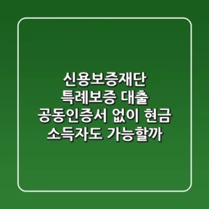 신용보증재단 특례보증 대출: 공동인증서 없이, 현금 소득자도 가능할까?