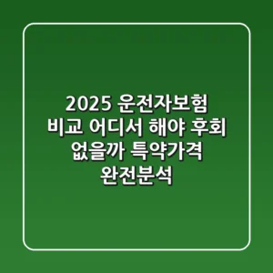 2025 운전자보험 비교, 어디서 해야 후회 없을까? 특약·가격 완전분석!