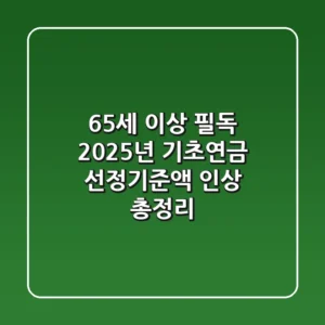 65세 이상 필독! 2025년 기초연금 선정기준액 인상 총정리