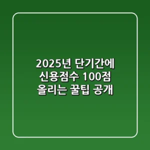 2025년, 단기간에 신용점수 100점 올리는 꿀팁 공개