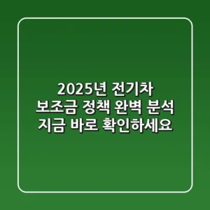 2025년 전기차 보조금 정책 완벽 분석! 지금 바로 확인하세요!