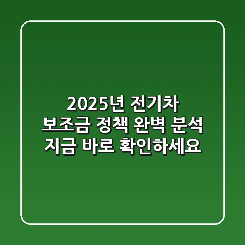 2025년 전기차 보조금 정책 완벽 분석! 지금 바로 확인하세요!