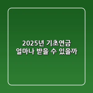 2025년 기초연금, 얼마나 받을 수 있을까?