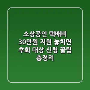 소상공인 택배비 30만원 지원, 놓치면 후회! 대상, 신청, 꿀팁 총정리