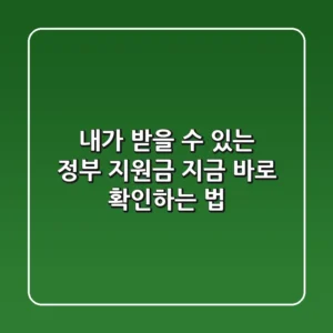 내가 받을 수 있는 정부 지원금, 지금 바로 확인하는 법!