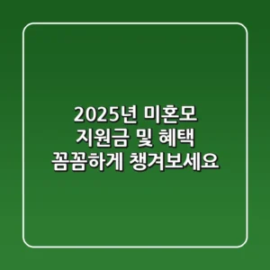 2025년 미혼모 지원금 및 혜택, 꼼꼼하게 챙겨보세요!