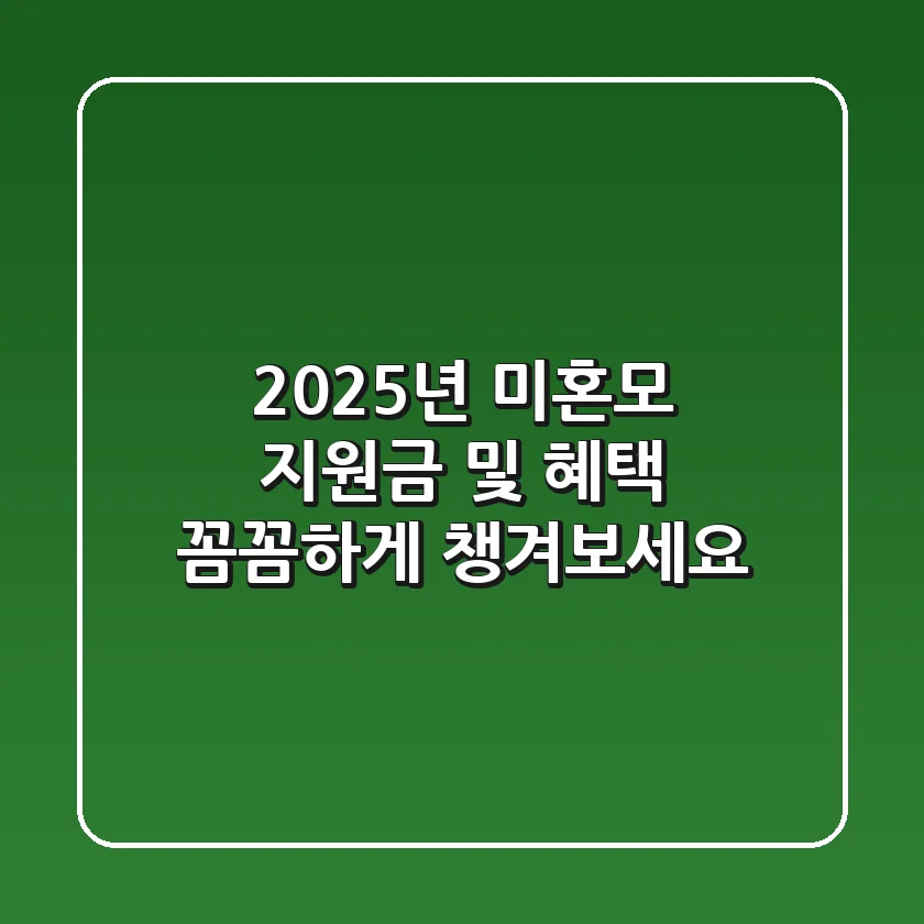 2025년 미혼모 지원금 및 혜택, 꼼꼼하게 챙겨보세요!