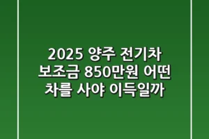 2025 양주 전기차 보조금 850만원! 어떤 차를 사야 이득일까?