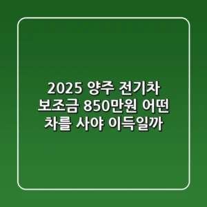 2025 양주 전기차 보조금 850만원! 어떤 차를 사야 이득일까?