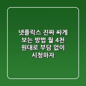 넷플릭스 진짜 싸게 보는 방법! 월 4천 원대로 부담 없이 시청하자!