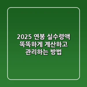 2025 연봉 실수령액, 똑똑하게 계산하고 관리하는 방법!