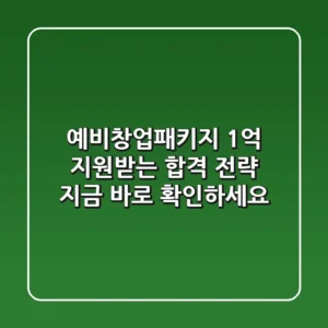 예비창업패키지, 1억 지원받는 합격 전략! 지금 바로 확인하세요