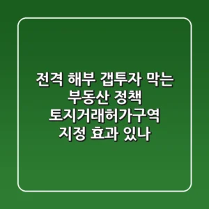전격 해부! 갭투자 막는 부동산 정책, 토지거래허가구역 지정 효과 있나?
