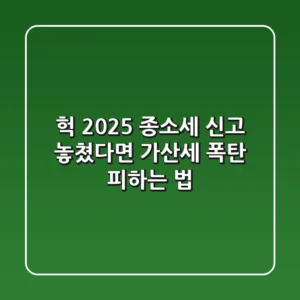 헉! 2025 종소세 신고 놓쳤다면? (가산세 폭탄 피하는 법)