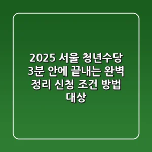 2025 서울 청년수당, 3분 안에 끝내는 완벽 정리! (신청 조건, 방법, 대상)