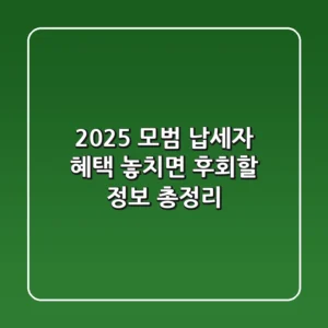 2025 모범 납세자 혜택: 놓치면 후회할 정보 총정리!