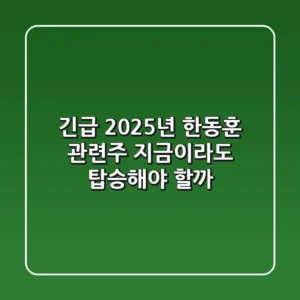 긴급! 2025년 한동훈 관련주, 지금이라도 탑승해야 할까?