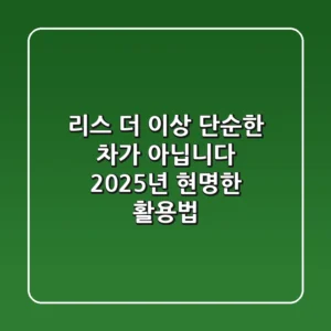 리스, 더 이상 단순한 '차'가 아닙니다! 2025년 현명한 활용법