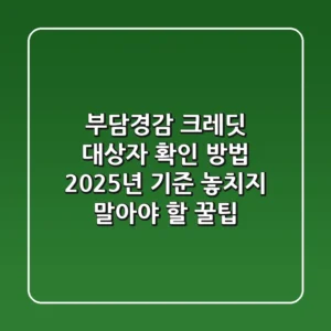 부담경감 크레딧 대상자 확인 방법: 2025년 기준 놓치지 말아야 할 꿀팁!