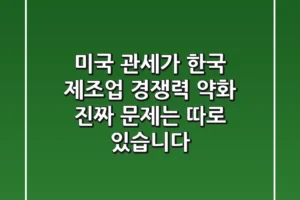 미국 관세가 한국 제조업 경쟁력 약화? 진짜 문제는 따로 있습니다