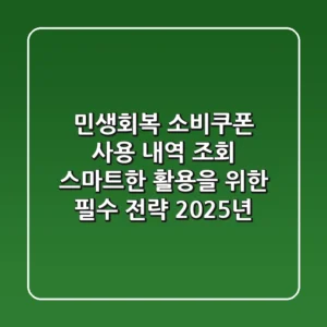 민생회복 소비쿠폰 사용 내역 조회, 스마트한 활용을 위한 필수 전략 (2025년)