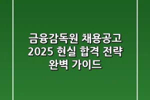 금융감독원 채용공고 2025, 현실 합격 전략 완벽 가이드