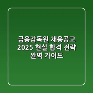 금융감독원 채용공고 2025, 현실 합격 전략 완벽 가이드