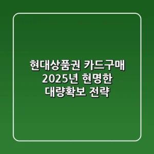 현대상품권 카드구매, 2025년 현명한 대량확보 전략