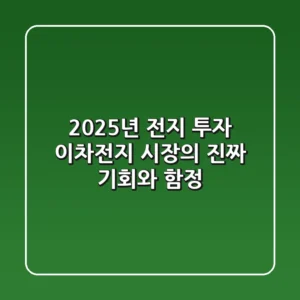2025년 전지 투자, 이차전지 시장의 진짜 기회와 함정