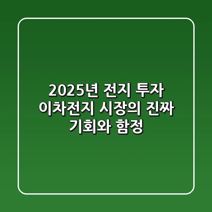 2025년 전지 투자, 이차전지 시장의 진짜 기회와 함정
