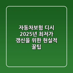 자동차보험 디시, 2025년 최저가 갱신을 위한 현실적 꿀팁