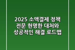 2025 소액결제 정책 전문, 현명한 대처와 성공적인 해결 로드맵