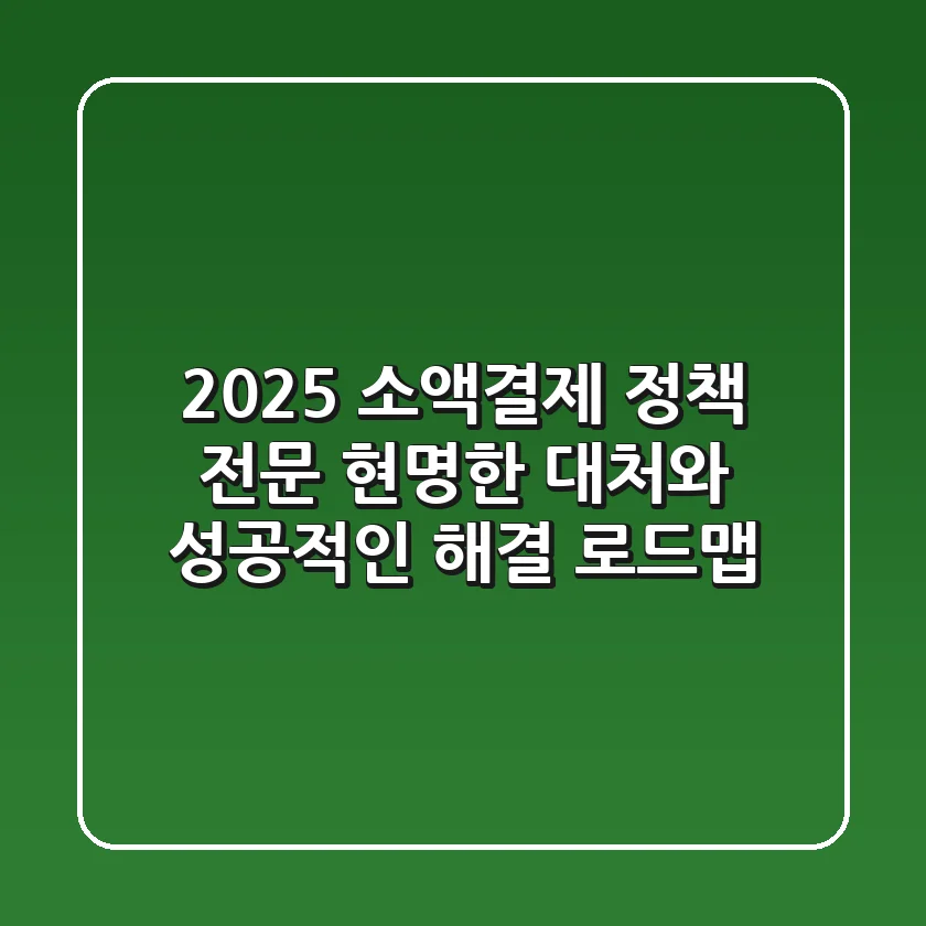 2025 소액결제 정책 전문, 현명한 대처와 성공적인 해결 로드맵