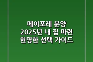 메이포레 분양, 2025년 내 집 마련 현명한 선택 가이드