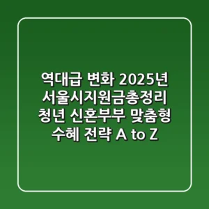 "역대급 변화", 2025년 서울시지원금총정리: 청년, 신혼부부 맞춤형 수혜 전략 A to Z