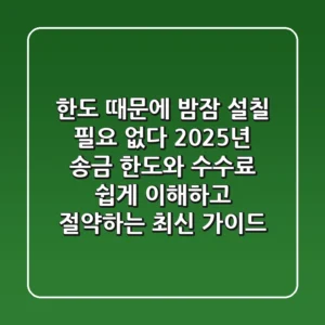 "한도 때문에 밤잠 설칠 필요 없다", 2025년 송금 한도와 수수료 쉽게 이해하고 절약하는 최신 가이드