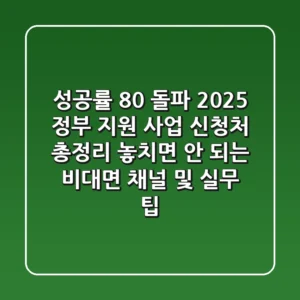 "성공률 80% 돌파!", 2025 정부 지원 사업 신청처 총정리: 놓치면 안 되는 비대면 채널 및 실무 팁