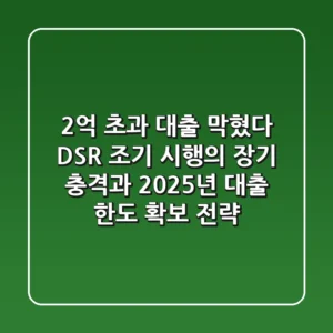 "2억 초과 대출 막혔다", DSR 조기 시행의 장기 충격과 2025년 대출 한도 확보 전략