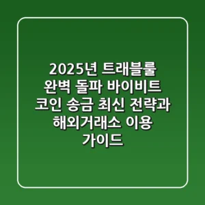 "2025년 트래블룰 완벽 돌파", 바이비트 코인 송금 최신 전략과 해외거래소 이용 가이드