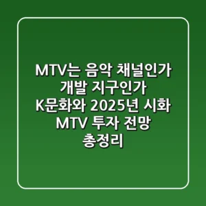 “MTV는 음악 채널인가, 개발 지구인가?”, K-문화와 2025년 시화 MTV 투자 전망 총정리