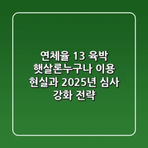 "연체율 13% 육박", 햇살론누구나 이용 현실과 2025년 심사 강화 전략