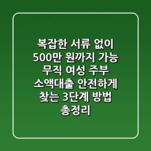 "복잡한 서류 없이 500만 원까지 가능", 무직 여성 주부 소액대출 안전하게 찾는 3단계 방법 총정리