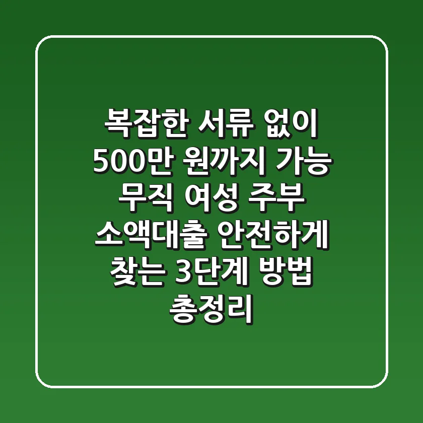 "복잡한 서류 없이 500만 원까지 가능", 무직 여성 주부 소액대출 안전하게 찾는 3단계 방법 총정리