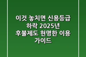 “이것 놓치면 신용등급 하락”, 2025년 후불제도 현명한 이용 가이드