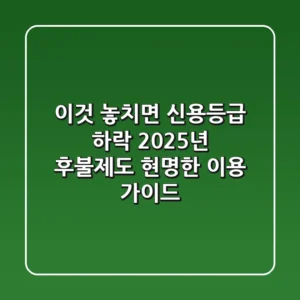 "이것 놓치면 신용등급 하락", 2025년 후불제도 현명한 이용 가이드