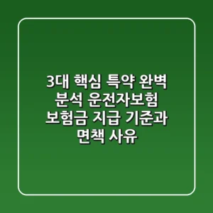 "3대 핵심 특약 완벽 분석", 운전자보험 보험금 지급 기준과 면책 사유