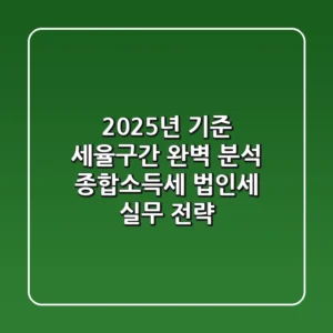 "2025년 기준" 세율구간 완벽 분석: 종합소득세, 법인세 실무 전략