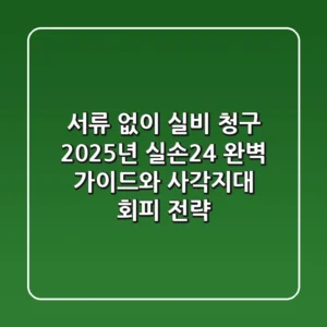 "서류 없이 실비 청구", 2025년 '실손24' 완벽 가이드와 사각지대 회피 전략